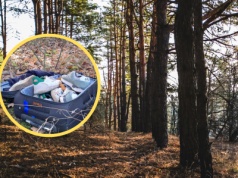 Leśnicy natknęli się na 