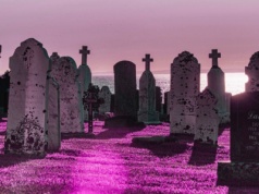 Jak znaleźć zmarłego na cmentarzu? Te apki pomogą wyszukać grób 