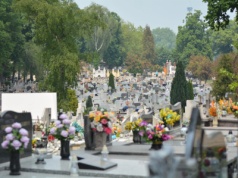 Uroczystość Wszystkich Świętych w Gnieźnie – godziny procesji na cmentarzach