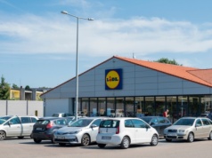 Oto ceny zniczy i chryzantem w Lidlu. LISTA