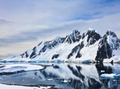 Szukali statku na Antarktydzie. Pod lodem odkryli tysiące jaj