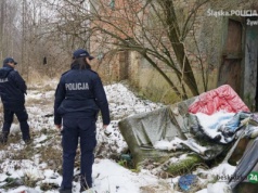 Infolinia z pomocą dla bezdomnych