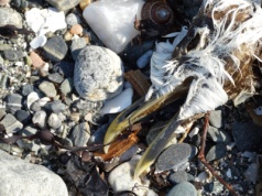 Historia pewnego zdjęcia. „Krąg życia”.