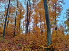 ZAWISŁO COŚ ZŁOWROGIEGO..