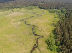 Polscy przyrodnicy mówią 