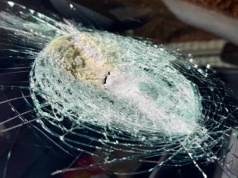 Tesla i tajemniczy wypadek na australijskiej drodze stanowej