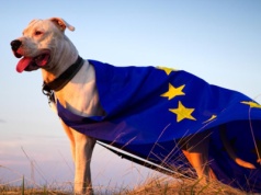 Grzeczny jak inflacja w strefie euro. Miało być 2% i jest niewiele więcej