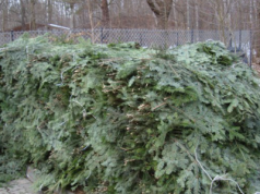 RUSZYŁA AKCJA STROISZ!