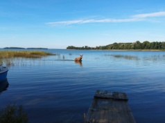 Mazury oczami mieszkańca. Jeleń w wodach Śniardw zachwycił internautów