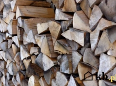 Drewno, które tylko wygląda na suche – jak rozpoznać, że ktoś Cię oszukuje