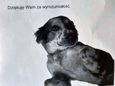 Pies ze schroniska wyje godzinami w bloku na Ursynowie. 