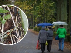 Niewybuch przy cmentarzu we Wrocławiu. Akcja służb