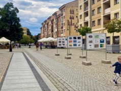 Bardzo dobre wyniki Legnicy w raporcie jakości życia