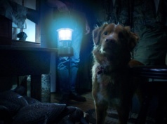 GOOD BOY. Pies, który jeździł do nawiedzonego domu