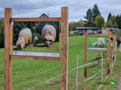 Sejmik Województwa Śląskiego postanowił. Rok 2026 Rokiem Górali i Obrzędów Pasterskich