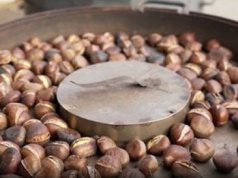 Pod Powązkami nowa przekąska. Ale widząc cenę, złapiesz się za portfel