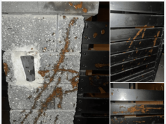 Halloween w Gnieźnie z aktami wandalizmu. Mieszkańcy mówią o braku wychowania i szacunku