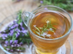 Ciśnienie krwi – układ krążenia – cyrkulacja – zioła przywracające balans