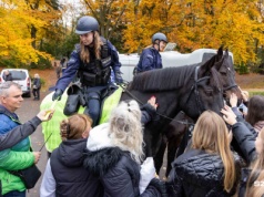 Policjanci na koniach patrolują Cmentarz Centralny