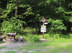 Oto najwyższa góra na Mazowszu. Z Radomia dojedziesz tam w niecałą godzinę
