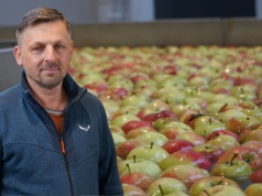 Jak sprzedają się ekologiczne jabłka?