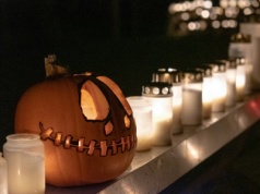 Policja bada sprawę niebezpiecznych słodyczy z igłami. Na razie brak zgłoszeń od poszkodowanych