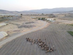 Odkryto 5000-letnią świątynię w Iraku. Ten obiekt zmienia nasze postrzeganie początków cywilizacji