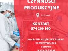 Praca od zaraz dla każdego – 30,50 zł/h, darmowy posiłek i transport