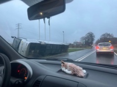 Autobus wylądował w rowie. Włosienica