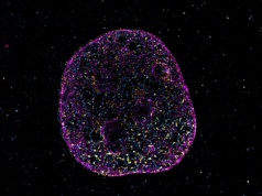 DNA ma ukryty kod geometryczny. Drugi język życia odkryty przez naukowców