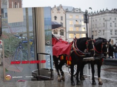 Libańczyk zdradził, co sądzi o Polsce. Przeprowadził zaskakujący test. "Miałeś szczęście"