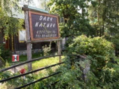 Pożar w Darach Natury — dramat firmy i zielarskiej społeczności