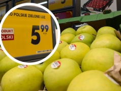 Jak brak promocji stał się najlepszą promocją