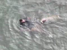 Policjant wskoczył do wody i przepłynął około 200 metrów, żeby uratować tonącego psa