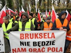 Protest rolników w Warszawie. W tle obrona polskiego sektora tytoniarskiego