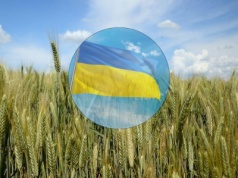 KE chce ukarania Polski za embargo na ukraińskie zboże. Warszawa nie zamierza ustępować