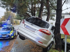 Pijany Ukrainiec zatrzymał się na drzewie. Tłumaczył, że 