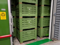 Ukraina „dołoży” rolnikom do budowy przechowalni