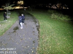 Pijany rajd wandali po Gnieźnie. Łamali drzewka, pili alkohol i szydzili z policji