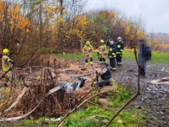 Koń tonął w błocie! Strażacy walczyli o jego życie ponad dwie godziny