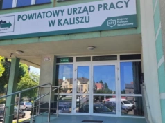 Najnowsze oferty pracy