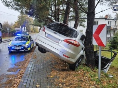 Pijany Ukrainiec zakończył jazdę na drzewie. Twierdził, że „rano wypił tylko jedno piwo”