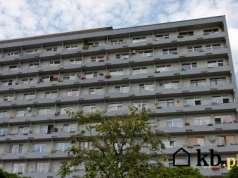 „Wstydzę się mieszkania w wielkiej płycie”! Czy blokowisko to powód do kompleksów?