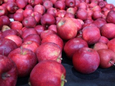 Litwa i Polska na cenzurowanym: owoce bez dostępu do rynku białoruskiego