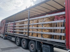 Zatrzymali transport ziemniaków. W środku "bomba biologiczna"