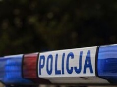 Zderzenie z łosiem na drodze krajowej nr 19