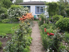 Przetestowali warzywa i owoce z działek ROD. Wyniki dają do myślenia