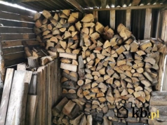 Kupiłam drewno opałowe aż 600 zł taniej niż normalnie. Wszystko rozbija się o ten jeden czynnik