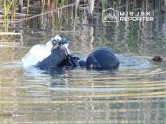 Tragiczny finał poszukiwań 62-latka. Zwłoki znaleziono w rzece