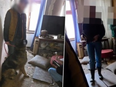 Przerażający widok za drzwiami mieszkania. Senior więził je bez wody i jedzenia. Zamknięte w brudzie